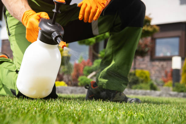 Best Termite Control Services  in Dublin, OH