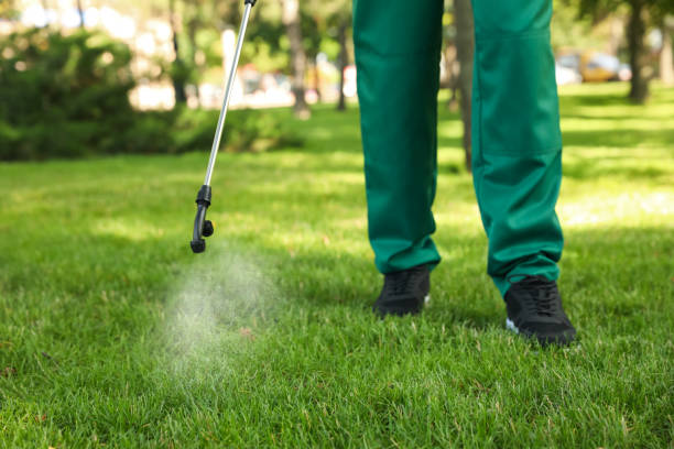 Best Affordable Exterminators  in Dublin, OH