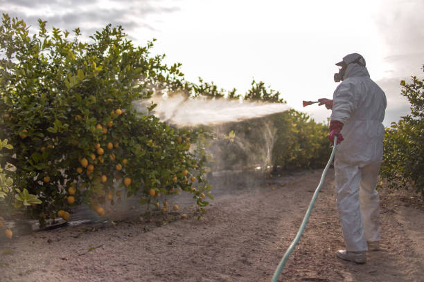Best Pest Removal Services  in Dublin, OH
