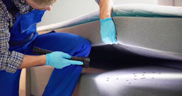 Best Pest Control Near Me  in Dublin, OH