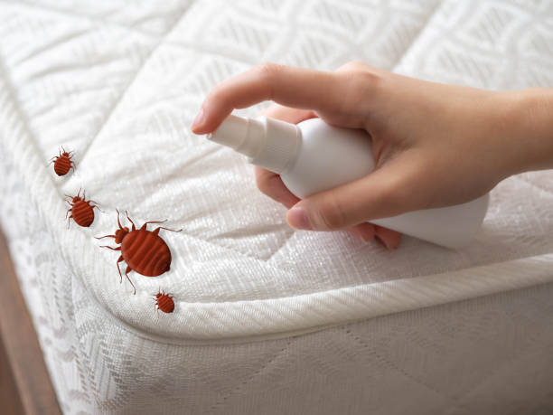 Best Ant Control Services  in Dublin, OH
