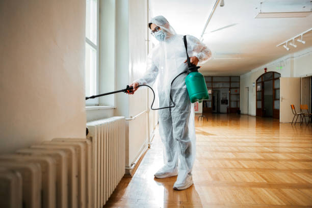 Best Wasp Removal Services  in Dublin, OH