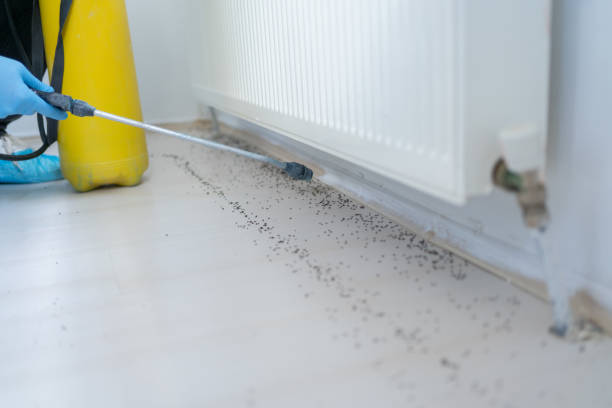 Best Best Pest Control Near Me  in Dublin, OH