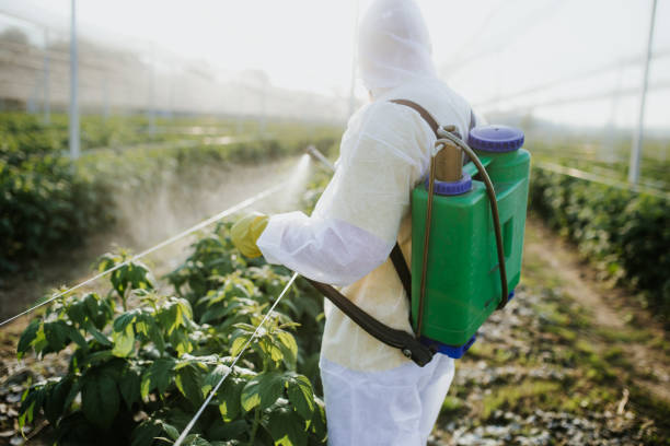 Best Pest Prevention Services  in Dublin, OH